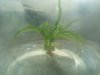 DSCF1258.JPG