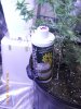 DSCN0693.jpg