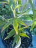 IMG-20110414-00127.jpg