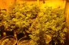 Veg Room 2.jpg