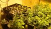 Veg Room 1.jpg