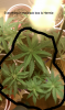 2-4-16-11.png 2-4-16-11.png