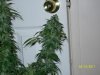 100_2675.jpg