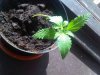 20110417.jpg