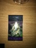 Lowlife Auto Lemon Sunk Feminized.jpg Lowlife Auto Lemon Sunk Feminized.jpg