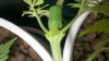 2011-04-17_17-19-52_102.jpg