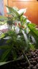 2011-04-17_17-22-00_77.jpg 2011-04-17_17-22-00_77.jpg