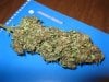BHD #2 Dried and Cured 10 Days.jpg BHD #2 Dried and Cured 10 Days.jpg