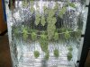 BHD 1 And 2 Harvest.jpg BHD 1 And 2 Harvest.jpg