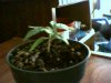 Picture 009.jpg