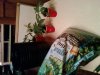 0605081944-00.jpg
