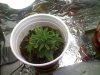 PIC-0093.jpg