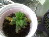 PIC-0094.jpg