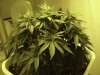 45_days-5.jpg