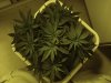 45_days-7.jpg