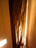2011-04-19 18.41.26.jpg