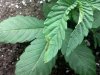 20110331131643.jpg 20110331131643.jpg