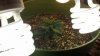 2011-04-22_06-24-33_915.jpg 2011-04-22_06-24-33_915.jpg