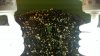 2011-04-12_06-19-27_785.jpg 2011-04-12_06-19-27_785.jpg