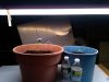 IMG-20110422-00089.jpg