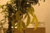 DSC_1804.jpg