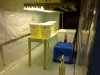 IMG_20110424_164956.jpg