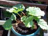 100_0521.jpg