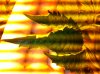 MJ Leaf.JPG MJ Leaf.JPG