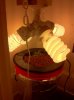 IMG_0205.jpg IMG_0205.jpg
