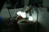 IMG_2382.jpg IMG_2382.jpg