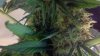 2011-04-25_22-41-40_670.jpg