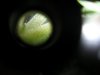 DSCN2240.jpg