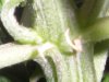 DSCN2246.JPG