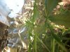 100_2710.jpg