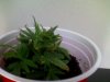 PIC-0102.jpg
