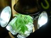 DSC00357.jpg