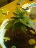 Bild0593.jpg Bild0593.jpg