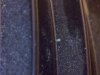 IMG_20110428_180029.jpg