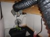 The Grow III (8).jpg