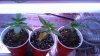 2011-04-29 22-26-00.418.jpg