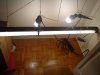 DSC00456.jpg