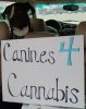 Cash & sign 4 cannabis best.jpg