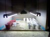 230803_129205430488081_100001958737602_203052_6781350_n.jpg 230803_129205430488081_100001958737602_203052_6781350_n.jpg