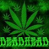 deadhead.jpg