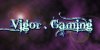 Vigor Alt.jpg