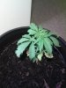 Photo-0102.jpg