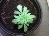 Photo-0103.jpg
