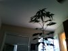 Photo 90.jpg