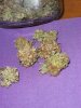 May 8 2011 057.jpg