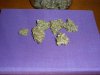May 8 2011 081.jpg